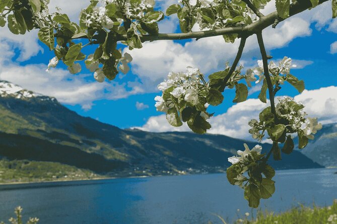 Guided tour to Hardangerfjord with Waterfalls and Ferry Crossing - Stop 6: Kvandal ferry crossing to Utne (and why upper decks matter)