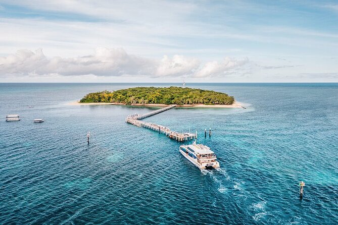 Half Day Morning Adventure - Fitzroy Island Return Ferry Included - Who This Tour Fits Best (And Who Might Want Something Else)