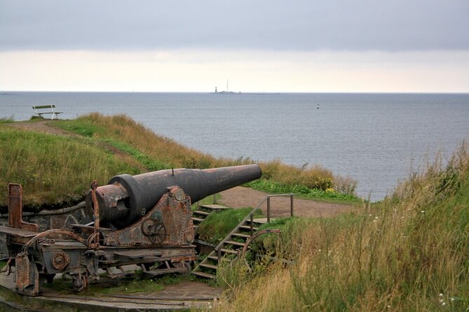 Helsinki & Suomenlinna: City Highlights Tour with Ferry Ride - Sibelius Monument: steel pipes that make sense once someone points them out