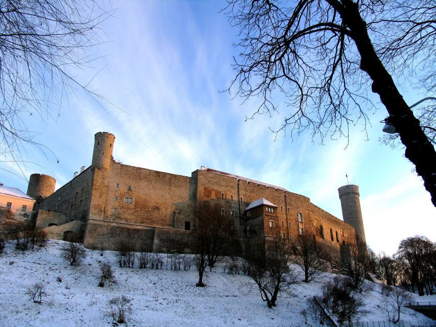 Helsinki: Tallinn Guided Day Tour with Ferry Crossing - Lunch, Breaks, and Timing: How the Day Stays Enjoyable