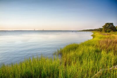 Hilton Head to Daufuskie Island Round-Trip Ferry Ticket - Arriving on Daufuskie at 9:30: three hours to make it count