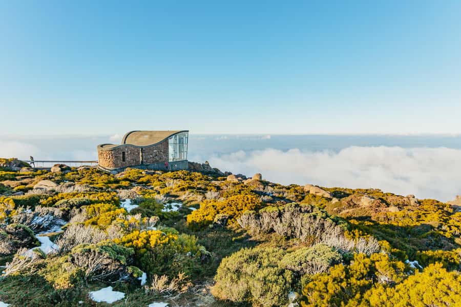 Hobart: Mt Wellington, Mt Field, Bonorong and Richmond Trip - Key Highlights Worth Getting Excited About
