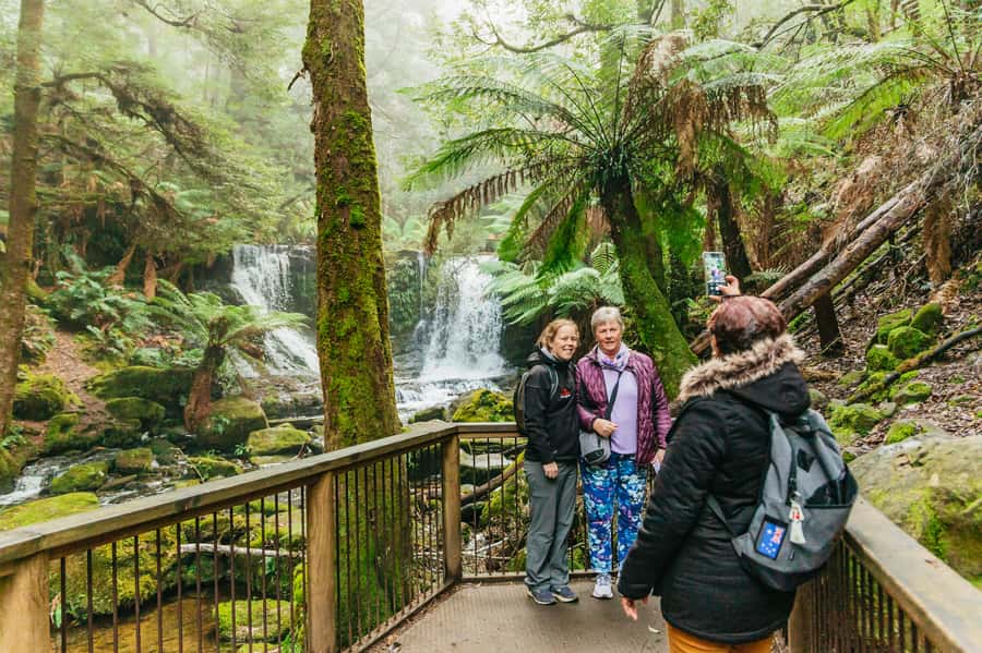 Hobart: Mt Wellington, Mt Field, Bonorong and Richmond Trip - Value and Price: Is $126 Worth It?