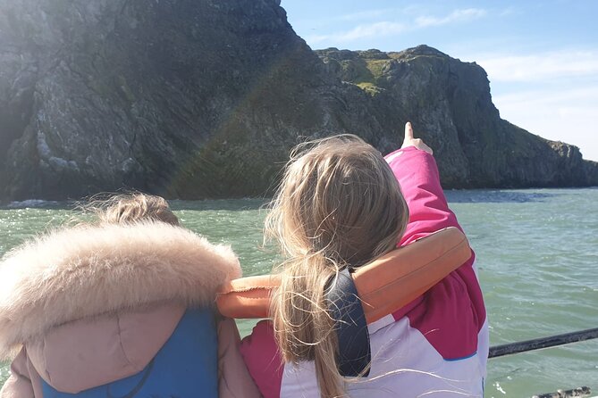 Howth Cliffs and Ireland's Eye Ferry Boat Tour - Ireland’s Eye: seals, birds, and the Martello Tower view