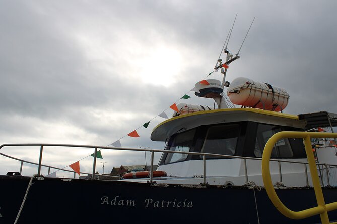 Howth Cliffs and Ireland's Eye Ferry Boat Tour - Weather and sea conditions: your best tips for a smoother ride