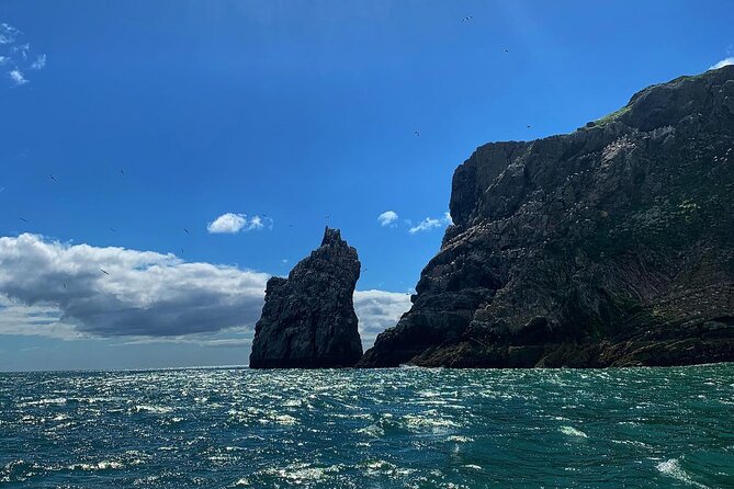 Howth Cliffs and Ireland's Eye Ferry Boat Tour - Small group value: why 11 travelers matters