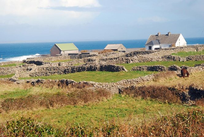 Inis Mór (Aran Islands) Day Trip: Return Ferry from Rossaveel, Galway - Key highlights to know before you go