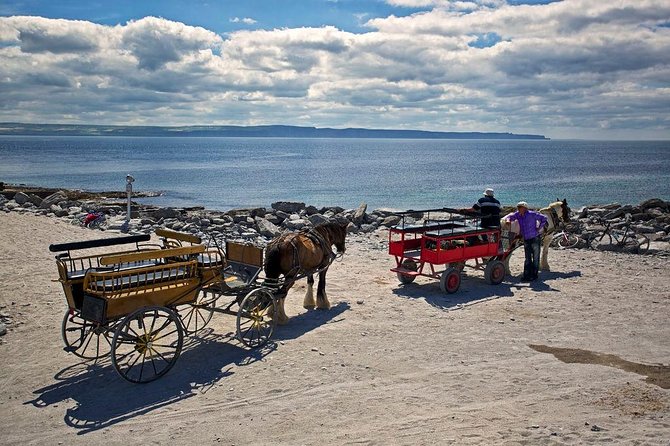 Inis Mór (Aran Islands) Day Trip: Return Ferry from Rossaveel, Galway - Food, shopping, and the quiet parts of Inis Mór