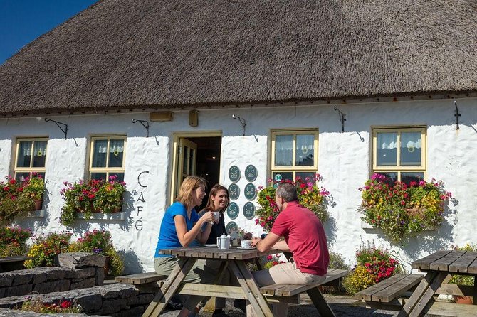 Inis Mór (Aran Islands) Day Trip: Return Ferry from Rossaveel, Galway - Value for money: what $48.06 really buys you