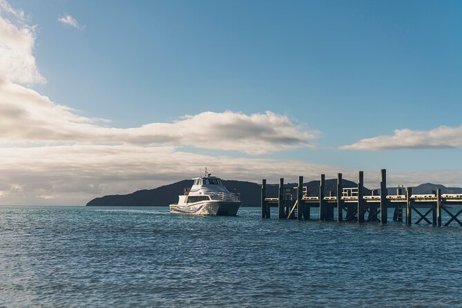InterIslander Ferry - Picton to Wellington - Your “vehicle or walk-on” decision