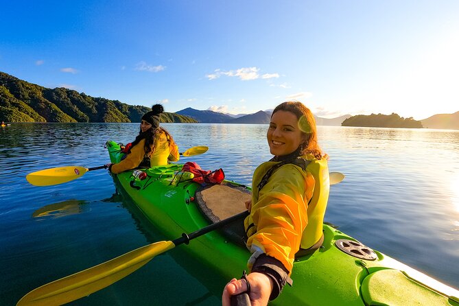 InterIslander Ferry - Picton to Wellington - Reliability, delays, and weather: plan like a local