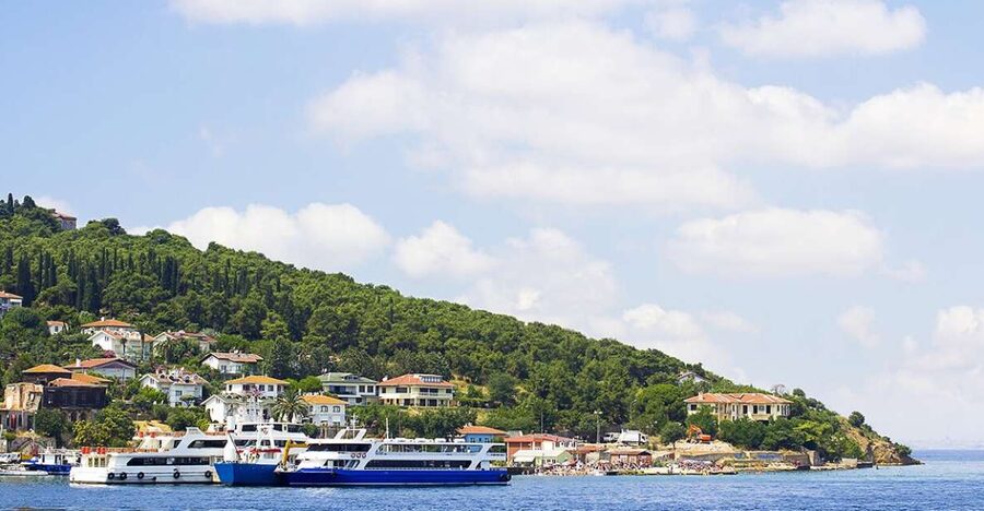 Istanbul: Round-Trip Ferry Tickets to the Princes' Islands - Greek Orphanage wooden building and beach time at Halk Plaji