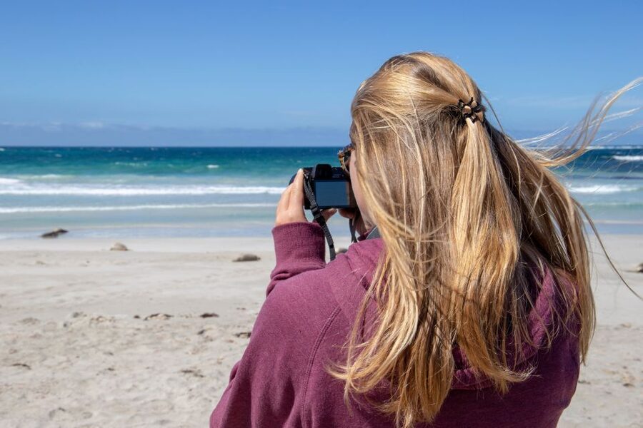 Kangaroo Island Full Day Experience by Ferry Including Lunch - Who this tour suits best (and who should skip it)