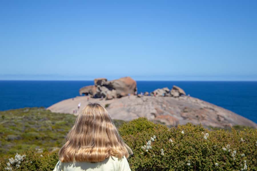 Kangaroo Island Full Day Experience by Ferry Including Lunch - From Adelaide to Penneshaw: ferry-and-coach flow that keeps you sane