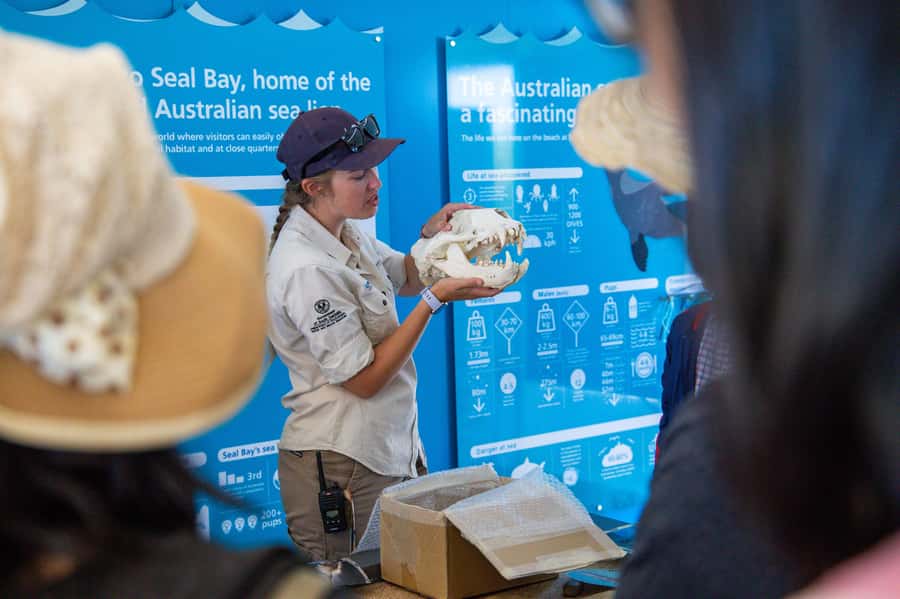 Kangaroo Island Full Day Experience by Ferry Including Lunch - Remarkable Rocks: a photo stop with real personality