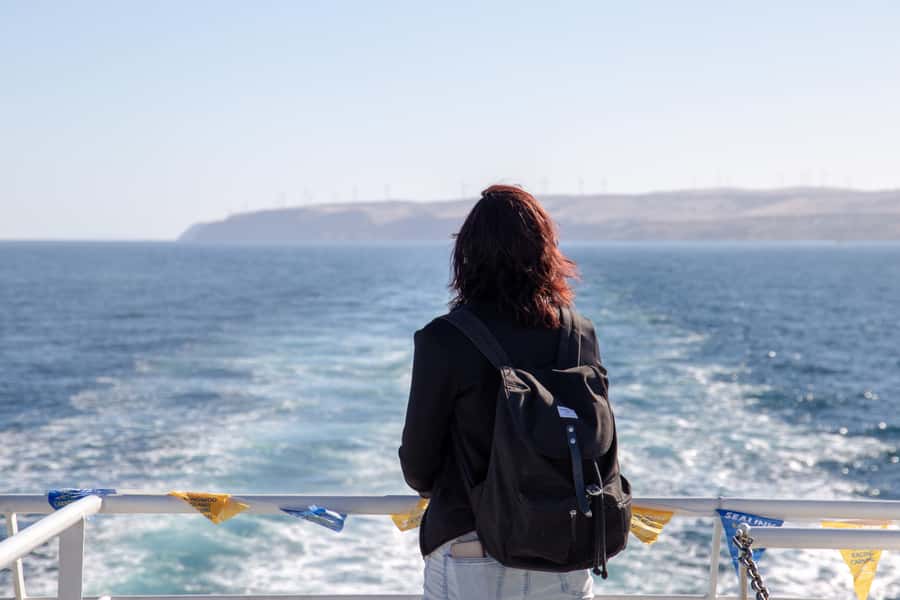 Kangaroo Island Full Day Experience by Ferry Including Lunch - Seal Bay Conservation Park: the sea lions are the star—and the guide makes it better