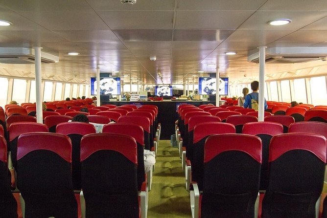 Krabi To Koh Tao(Tao Island) by Bus and Ferry - Luggage rules: keep it simple to avoid surprise fees