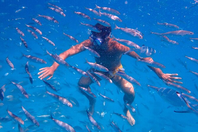 Lobos Island Ferry with Snorkel from Corralejo, Fuerteventura - Isla de Lobos: the volcanic nature reserve you can actually explore