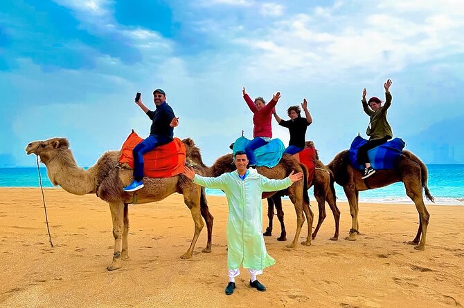 Luxury day in Tangier from Tarifa including ferry & camel ride …. - Key things that make this day trip work