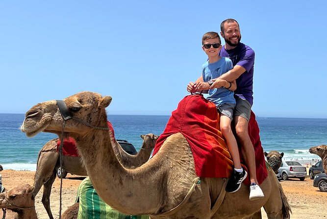 Luxury Malaga to Tangier Day Trip: Transfer, ferry, camel & Souks - Bouhachem Regional Nature Reserve Hike: Rif Forests, Cork Oaks, and Macaques