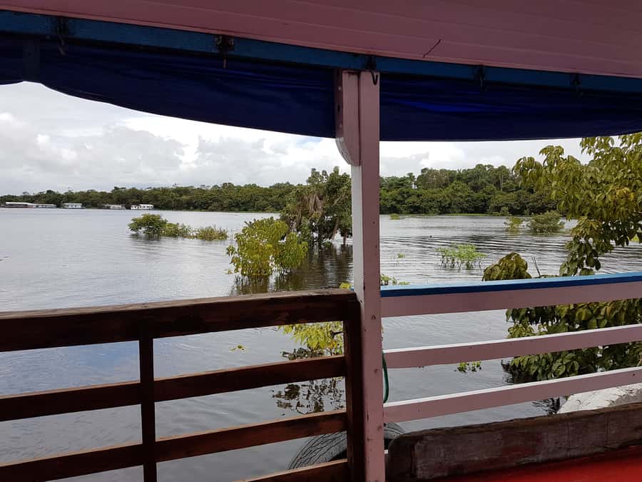 Manaus to Santarém: 36-Hour Ferry on the Amazon - Manaus pickup and boarding: getting on the water without stress