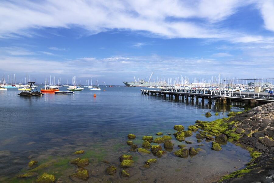 Melbourne: City and Williamstown Ferry Cruise - Logistics and practical tips that make the ride better