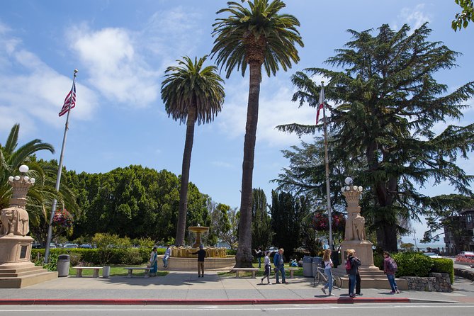 Muir Woods and Sausalito (Return by Bus or Ferry) - Price and what you really get for $91