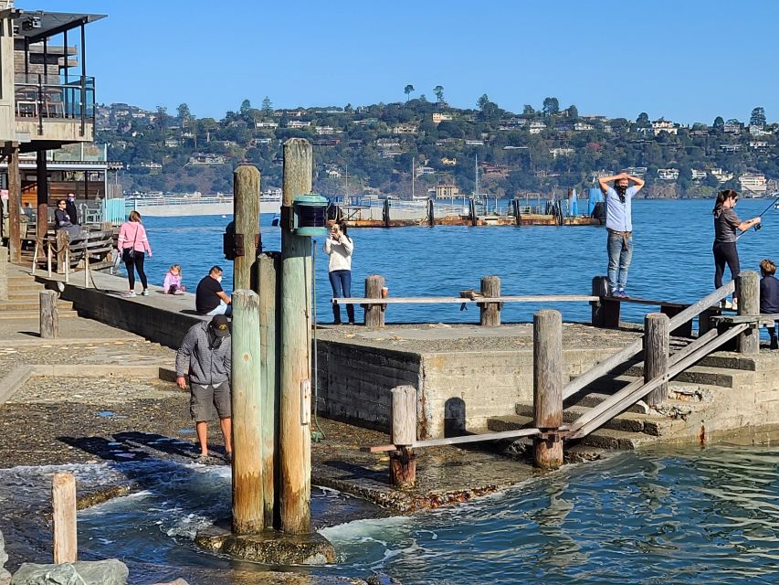 Muir Woods, Sausalito and Ferry back to Fisherman's Wharf - Muir Woods National Monument: How to Actually Spot the Giant Redwoods
