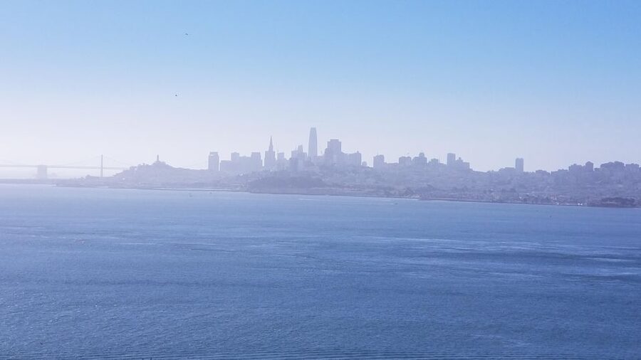Muir Woods, Sausalito and Ferry back to Fisherman's Wharf - Sausalito for 3 Hours: Waterfront Views and Choosing Your Own Pace