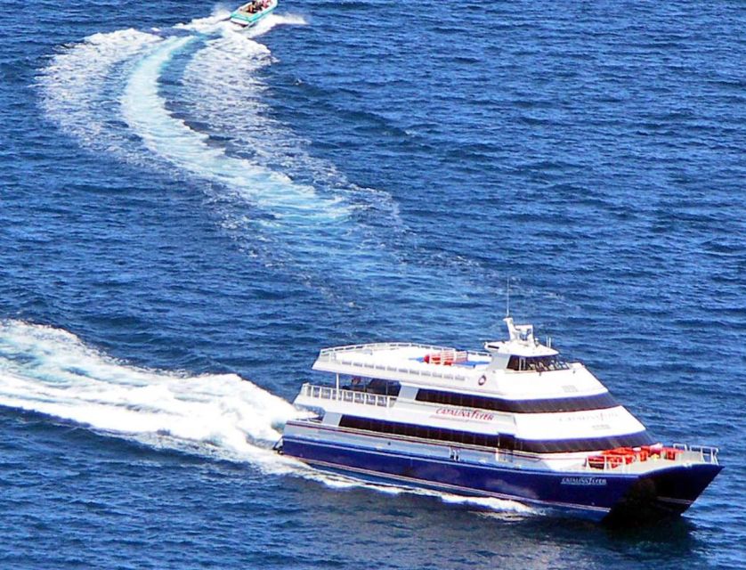 Newport Beach: Ferry Ticket to/from Catalina Island - Quick highlights before you book