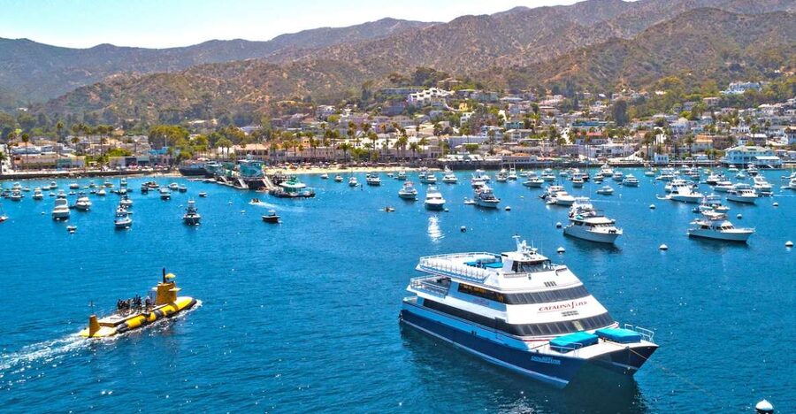 Newport Beach: Ferry Ticket to/from Catalina Island - Price and value at about $47 per person