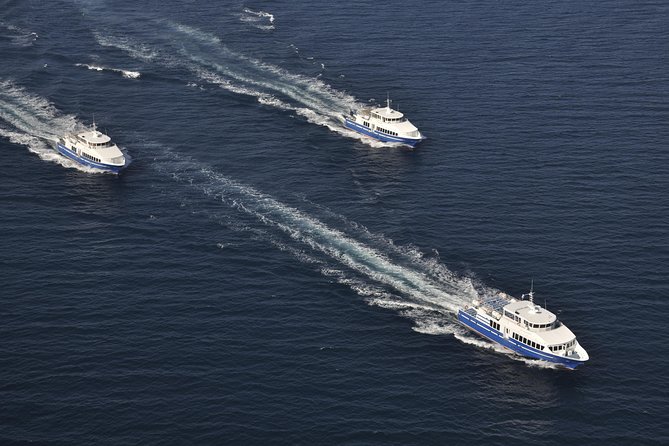 Nice to St Tropez Ferry Ticket and Cruise - Comfort and sea conditions: what to pack for the ride