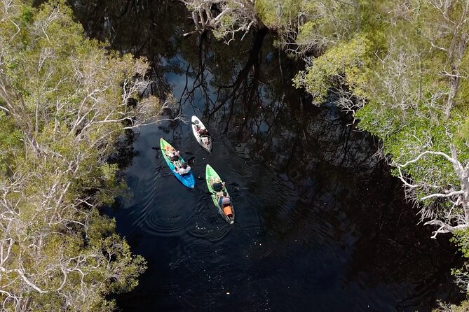 Noosa Sightseeing Adventure - Ferry Cruise, Ride and Kayak - Laguna Lookout: the five-mountain start that makes everything else make sense