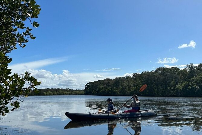 Noosa Sightseeing Adventure - Ferry Cruise, Ride and Kayak - Lake Weyba kayaking: calm water, mangroves, and stingray chances