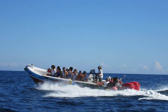Okikoki Banis - Comino Blue Lagoon Speedboat Trip- Fast Ferry - Key Highlights Before You Go