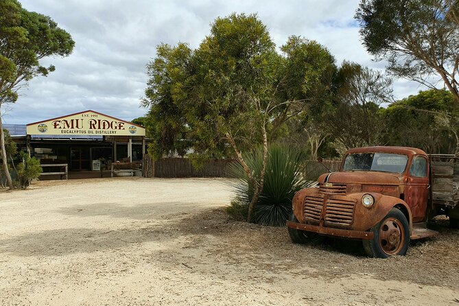 One Day Kangaroo Island Sip & See tour with return ferry transfers from Adelaide - Pennington Bay Photo Opportunity: Quick, Scenic, and Worth It