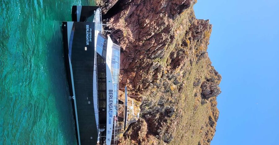 Peniche: Berlengas Island Round-Trip Ferry with Island Stop - Key highlights you’ll care about