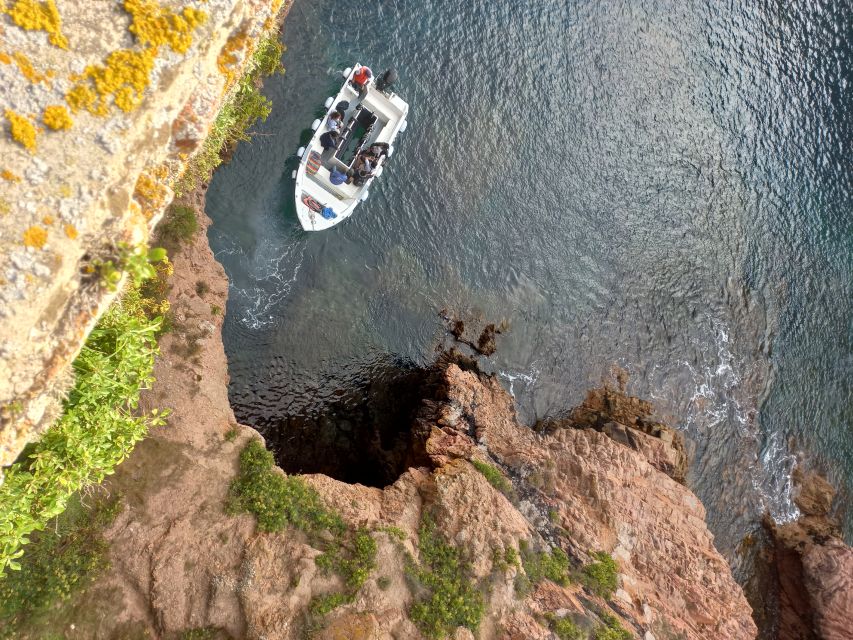 Peniche: Berlengas Island Round-Trip Ferry with Island Stop - The island in protected-priority mode: cliffs, Elephant rock, and real nature