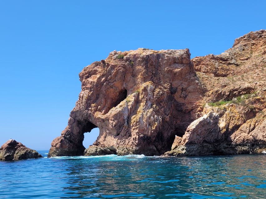 Peniche: Berlengas Island Round-Trip Ferry with Island Stop - Service quality on the water: clear hosting and on-time departures
