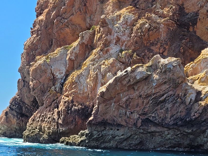 Peniche: Berlengas Island Round-Trip Ferry with Island Stop - The 12 PM wrinkle: AzulOrizonte and your physical ticket
