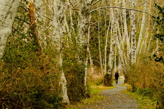 Photography, Hiking & Ferry to Bowen Island - Stop-by-Stop: What Happens at Each Part of the Day