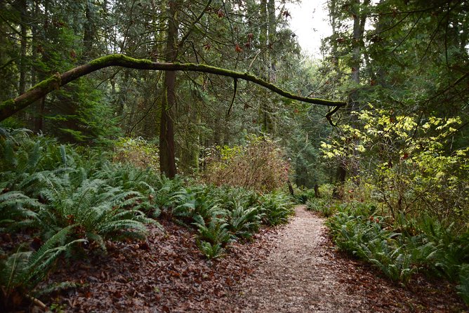 Photography, Hiking & Ferry to Bowen Island - What to Wear and Bring (So Weather Doesn’t Spoil Your Shots)