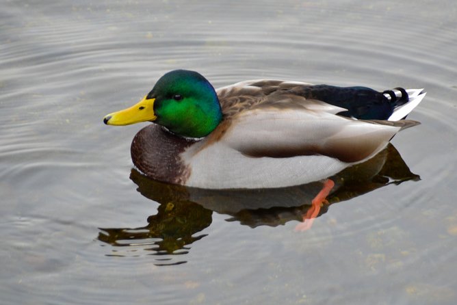 Photography, Hiking & Ferry to Bowen Island - Price and Value: Why $133.61 Can Make Sense