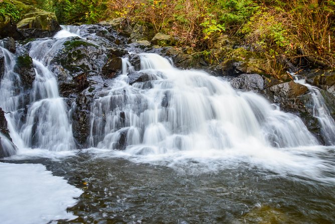Photography, Hiking & Ferry to Bowen Island - DSLR Borrowing and One-on-One Coaching That Actually Helps