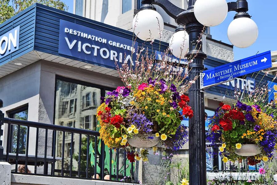 Pickle Pub Crawl: Ferry Rides and Appetizers - Chinatown Finale in Downtown Victoria