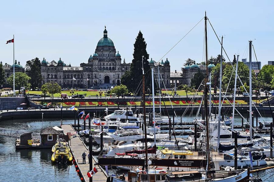 Pickle Pub Crawl: Ferry Rides and Appetizers - Meeting the Right Crowd: Who This Is Best For