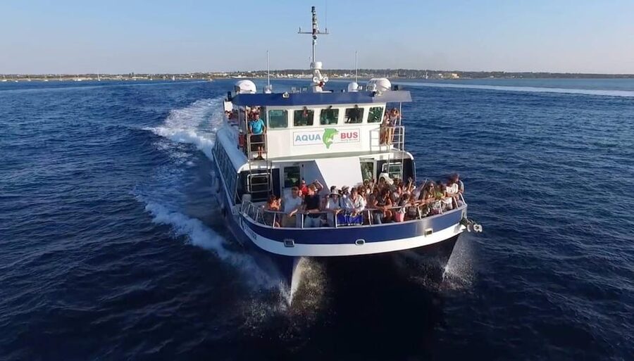 Playa d'en Bossa/Figueretes: Roundtrip Ferry to Formentera - Formentera Ferry Highlights That Actually Matter