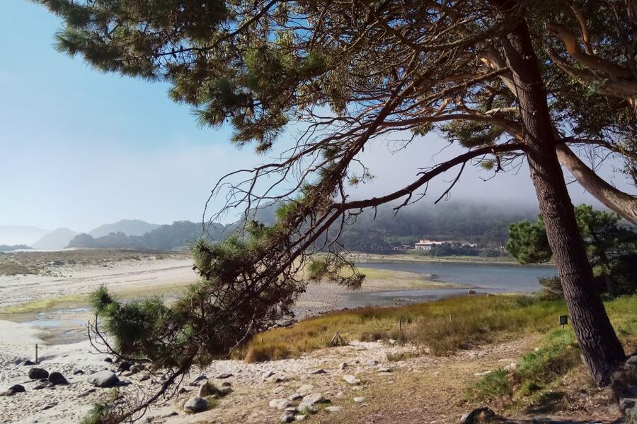 Portonovo: Ferry to Cies Islands & Rodas Beach - Key things I’d focus on before you go