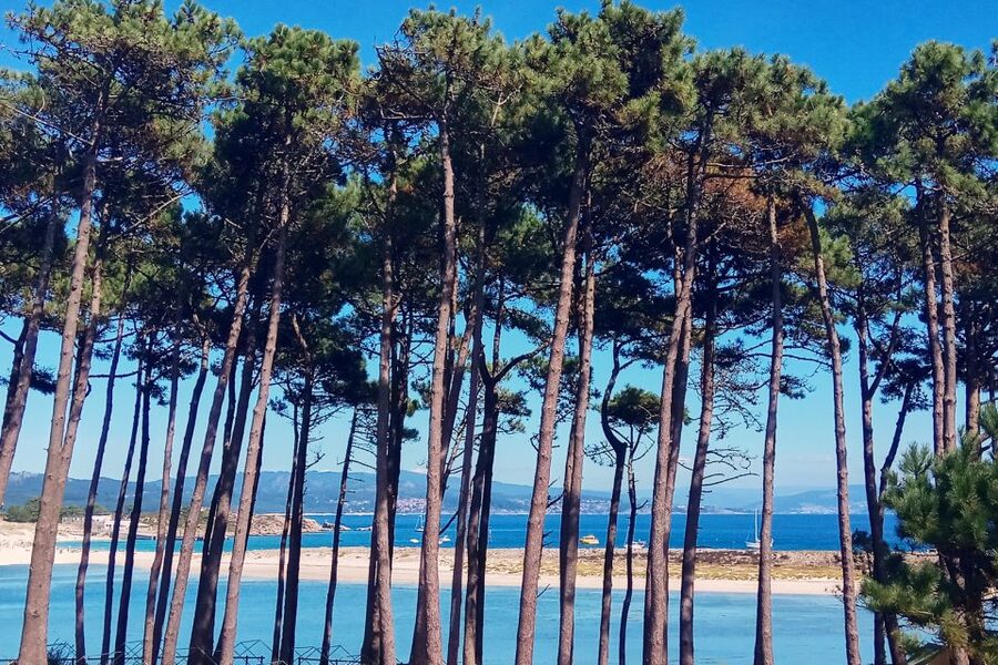 Portonovo: Ferry to Cies Islands & Rodas Beach - Timing the return: the schedule changes by dates
