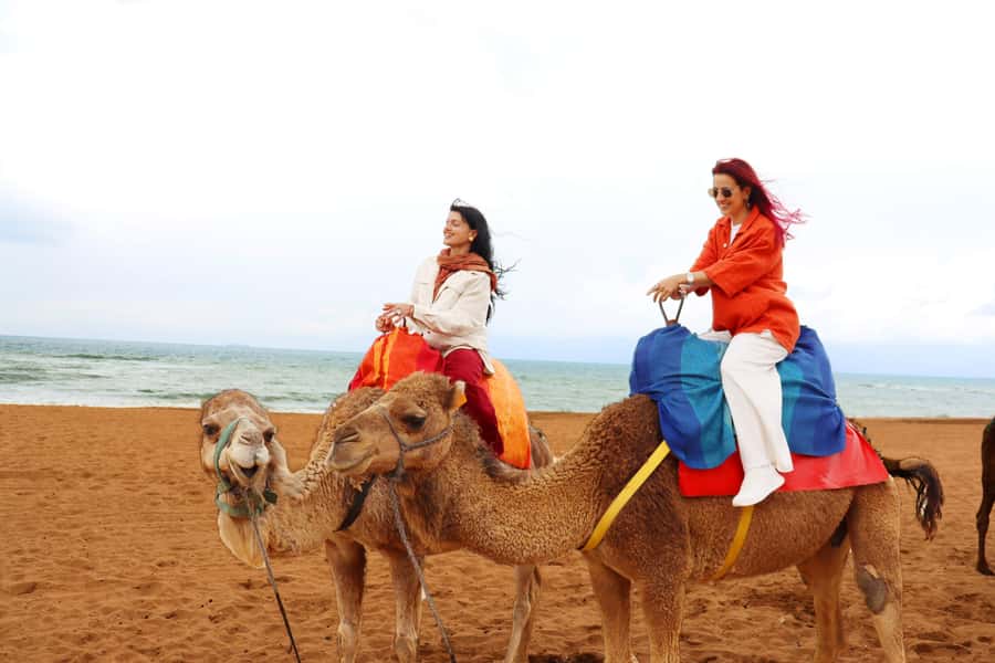 Price: Day trip to Tangier by ferry with lunch and tour guide - Lunch and food tasting: the best kind of included meal